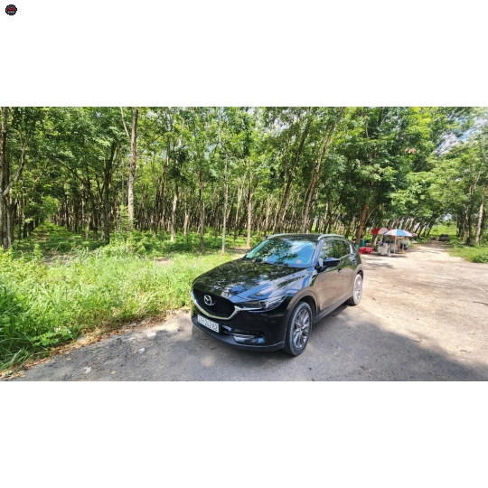 THUÊ XE 4 -7 CHỖ 